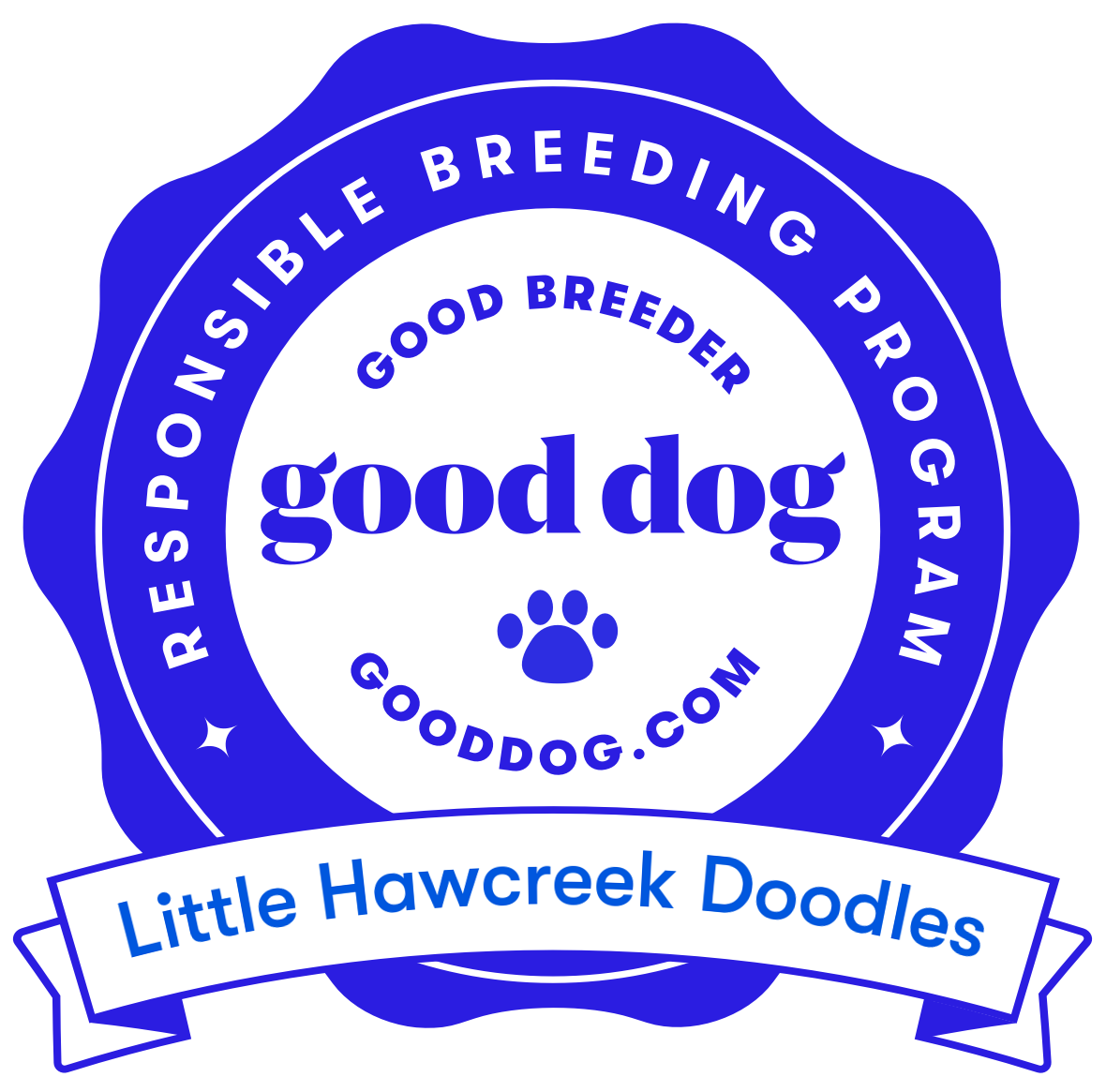 Good Dog - Little Hawcreek Doodles